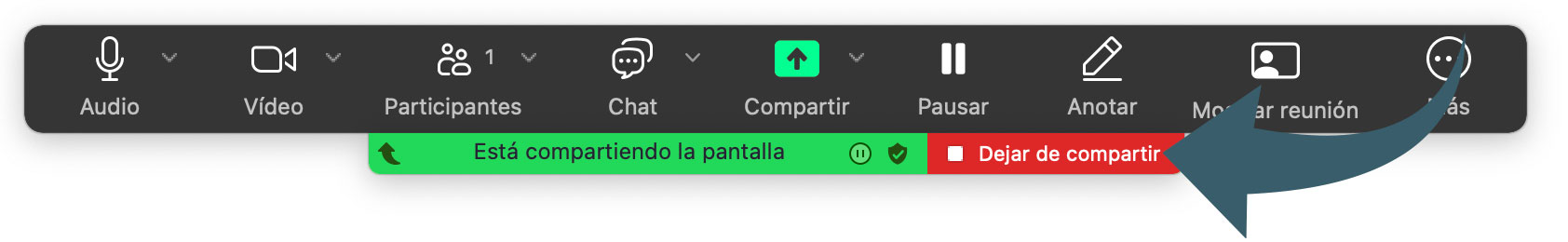 Opciones de video en Zoom