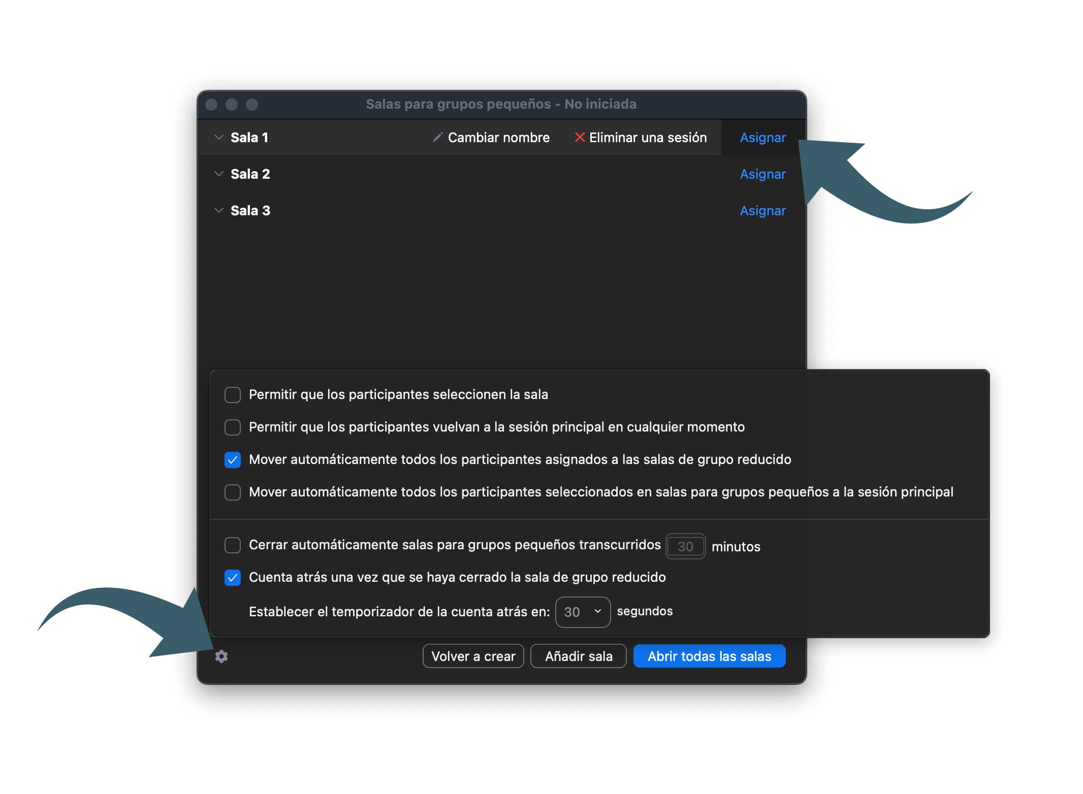 Opciones de abrir Salas en Zoom