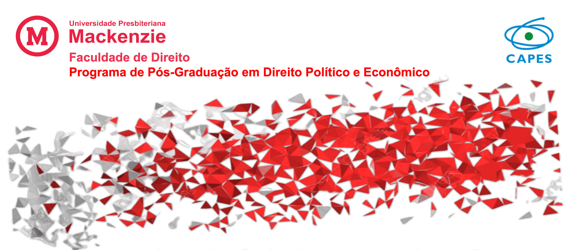 Anuncio del Seminario Internacional sobre Sostenibilidad de la Protección Social