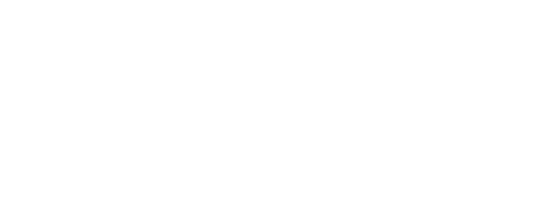 Logo CIESS